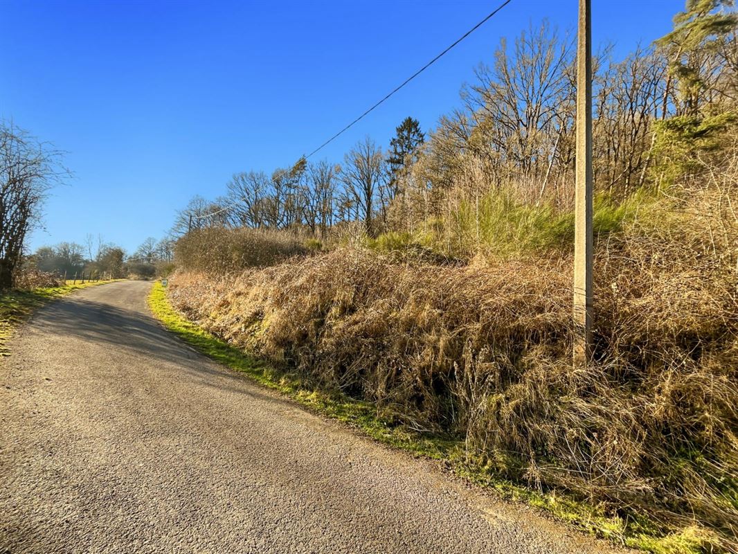 Dit perceel grond van meer dan 40 are ligt in de charmante bovenloop van Nohaipré, op slechts 2 minuten van Rendeux