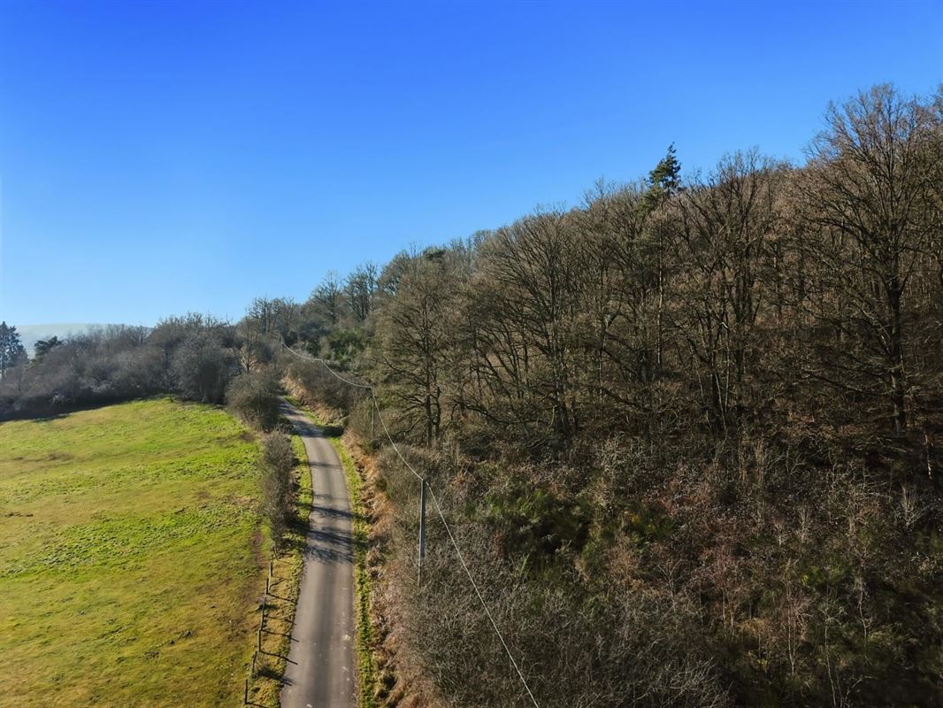 Ce terrain de + de 40 ares situé sur la commune de Rendeux.