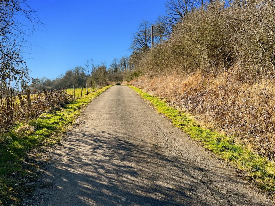 Dit perceel grond van meer dan 40 are ligt in de charmante bovenloop van Nohaipré, op slechts 2 minuten van Rendeux