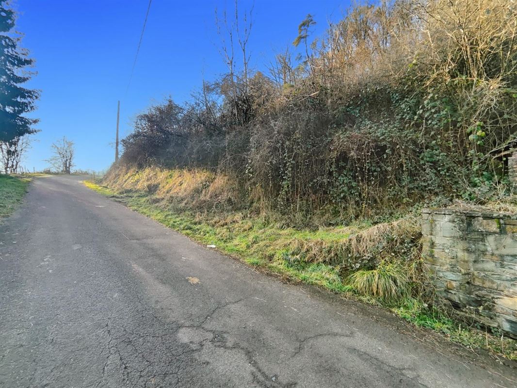 Ce terrain de + de 40 ares situé sur la commune de Rendeux.