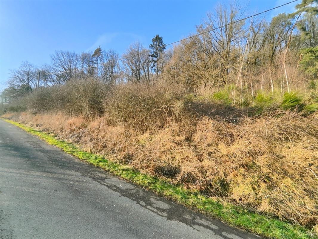 Dit perceel grond van meer dan 40 are ligt in de charmante bovenloop van Nohaipré, op slechts 2 minuten van Rendeux
