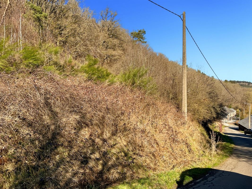 Ce terrain de + de 40 ares situé sur la commune de Rendeux.
