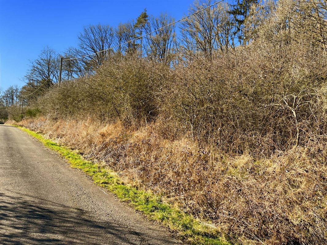 Dit perceel grond van meer dan 40 are ligt in de charmante bovenloop van Nohaipré, op slechts 2 minuten van Rendeux