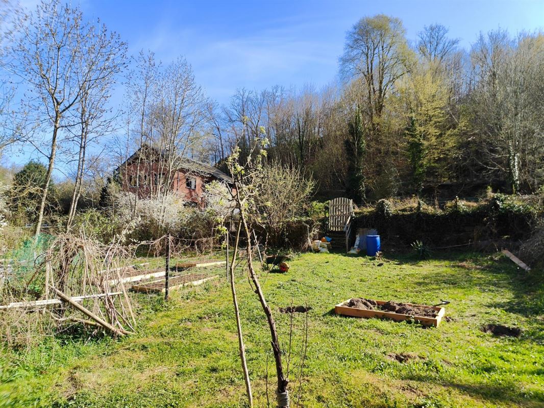 Terrain de 10 ares à La Roche-en-Ardenne