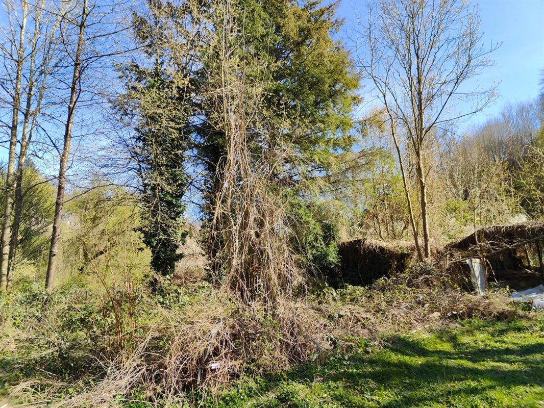Terrain de 10 ares à La Roche-en-Ardenne