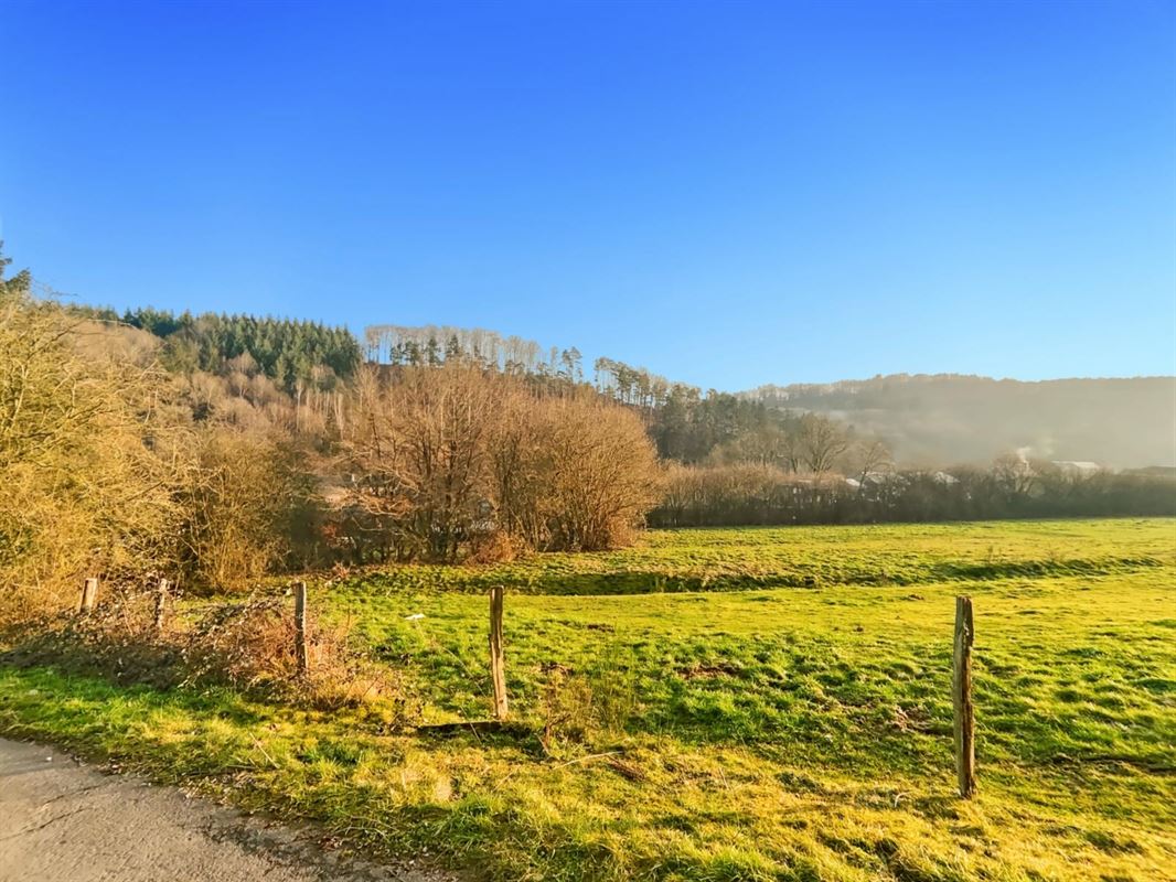 Ce terrain de + de 40 ares situé sur la commune de Rendeux.