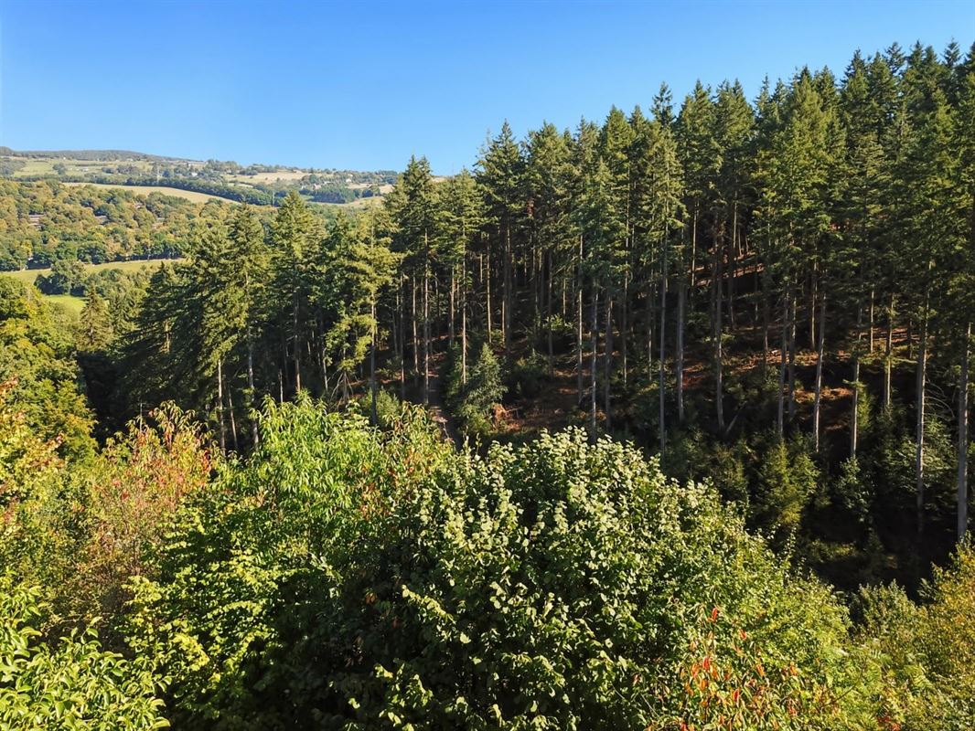Dans le bas du village de Warisy,  terrain de 14 ares qui bénéficie d?une vue dégagée et exceptionnelle