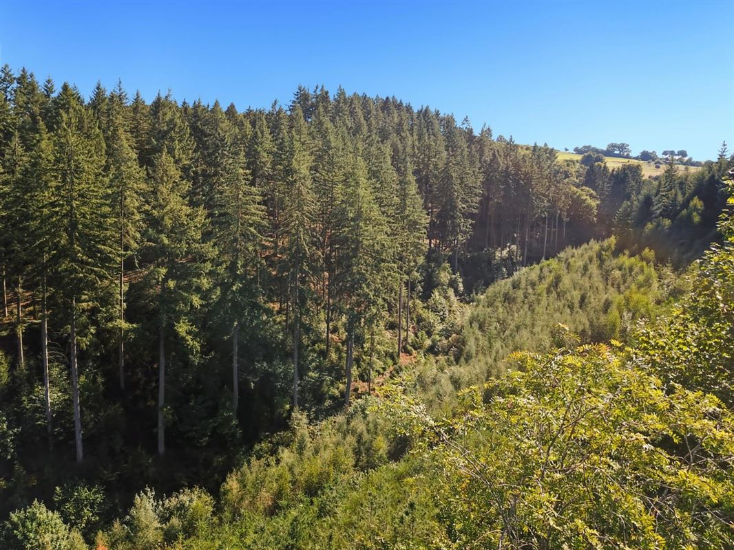 Dans le bas du village de Warisy,  terrain de 14 ares qui bénéficie d?une vue dégagée et exceptionnelle
