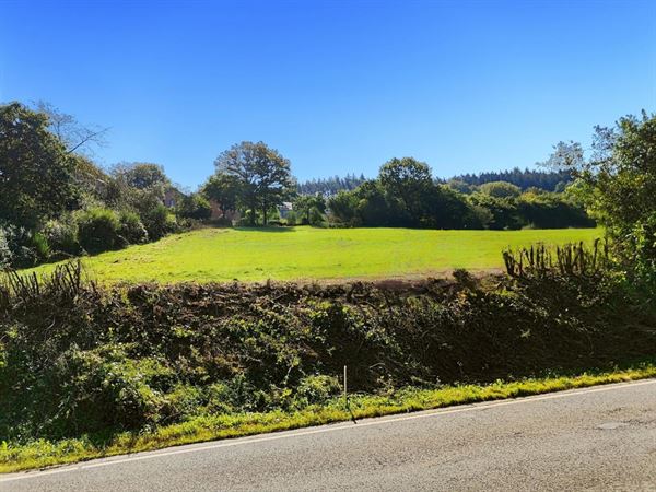 Grond van 9 are en 44 centiares op de hoogten van Rendeux