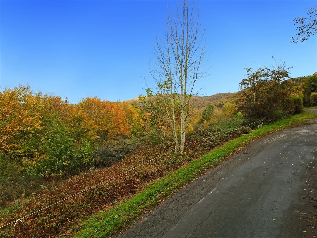Terrain de 1 ha 68 sur les hauteurs de Marcourt