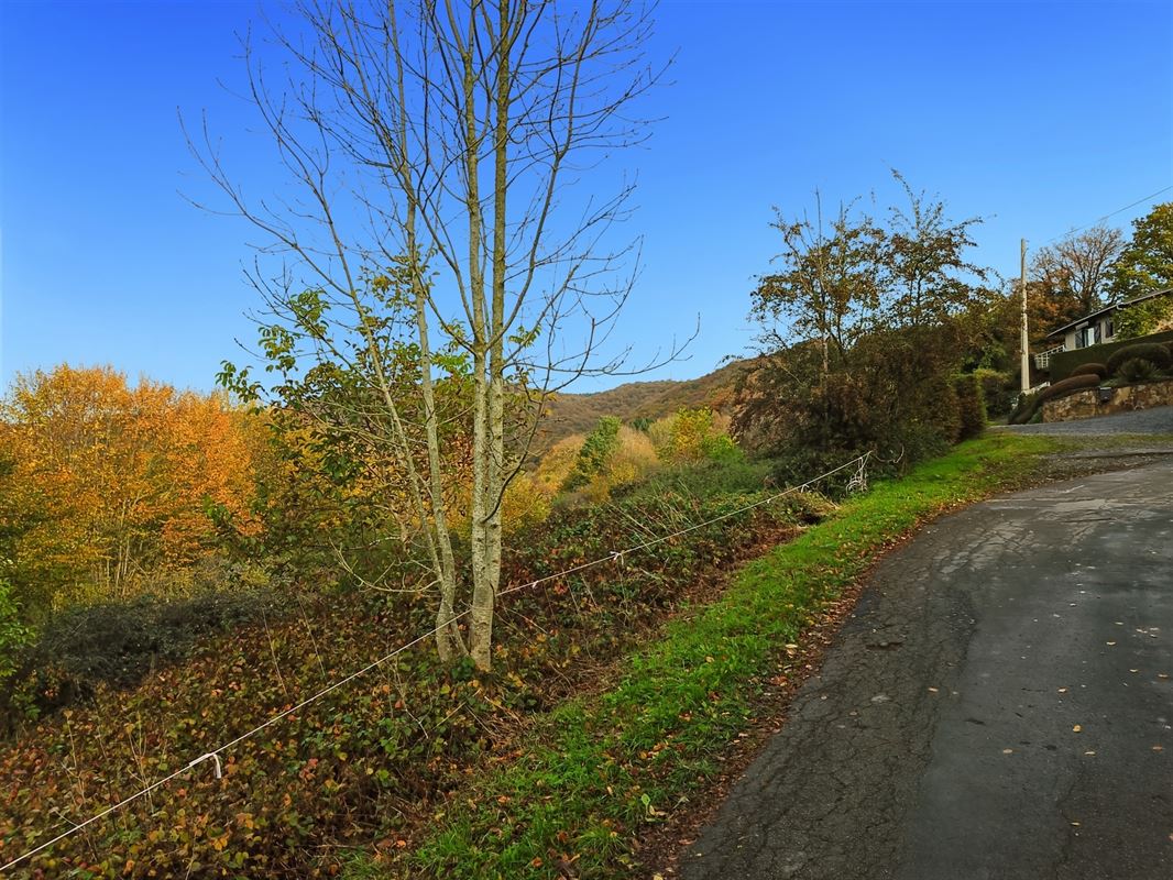 Terrain de 1 ha 68 sur les hauteurs de Marcourt