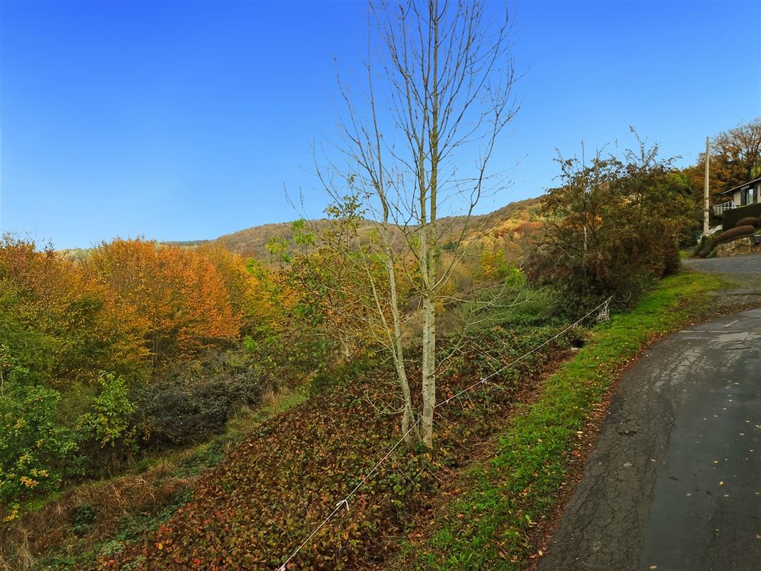 Terrain de 1 ha 68 sur les hauteurs de Marcourt