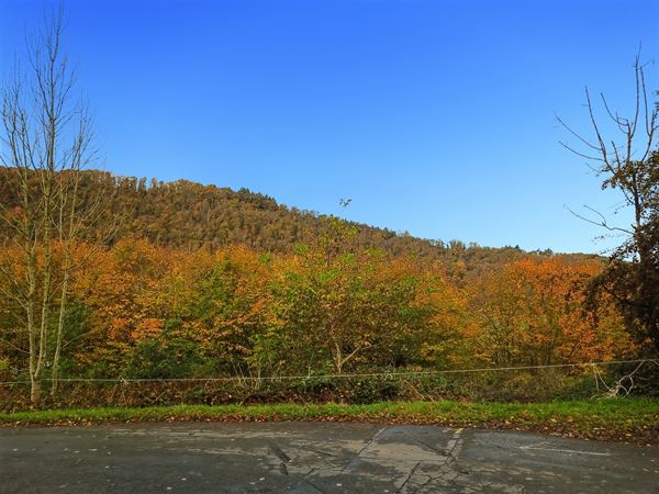 Terrain de 1 ha 68 sur les hauteurs de Marcourt