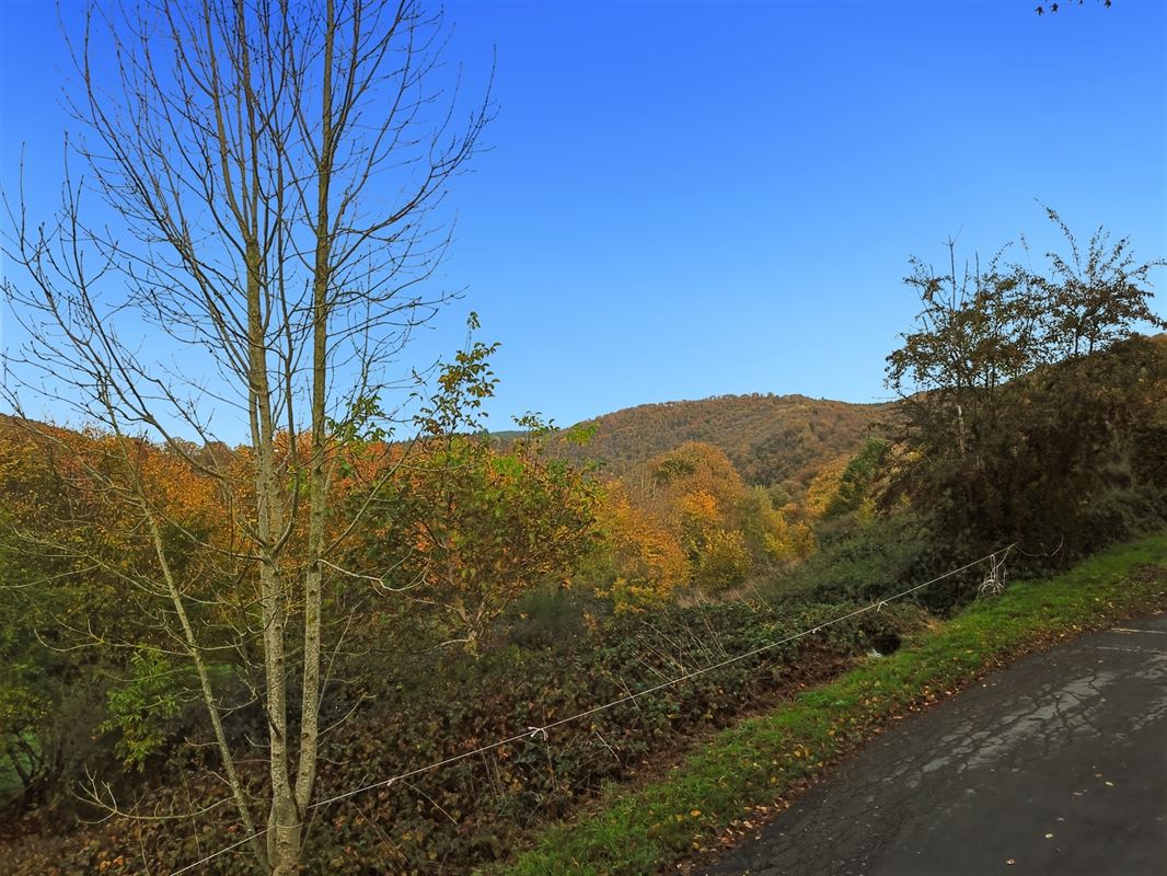 Terrain de 1 ha 68 sur les hauteurs de Marcourt