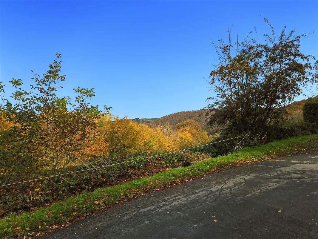 Terrain de 1 ha 68 sur les hauteurs de Marcourt