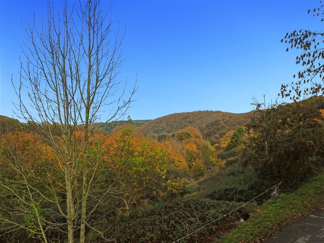 Terrain de 1 ha 68 sur les hauteurs de Marcourt