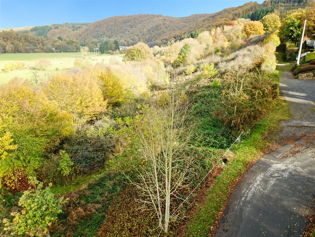 Terrain de 1 ha 68 sur les hauteurs de Marcourt