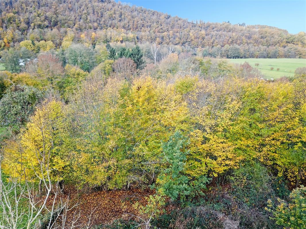 Terrain de 1 ha 68 sur les hauteurs de Marcourt