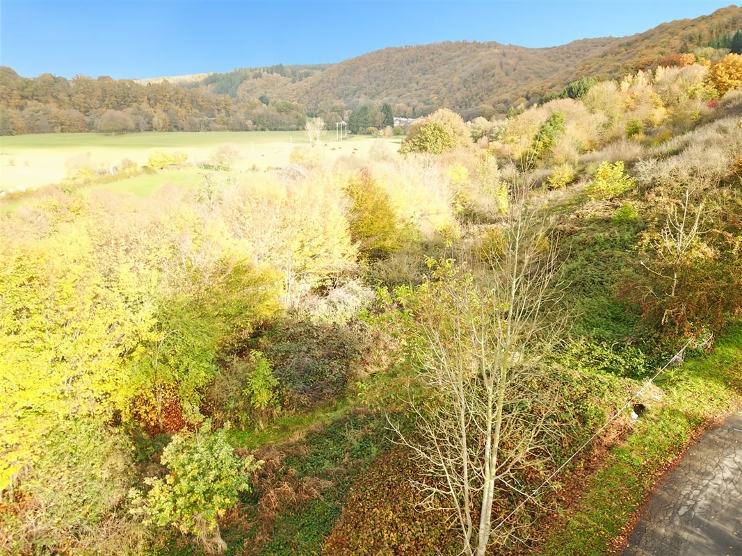 Terrain de 1 ha 68 sur les hauteurs de Marcourt