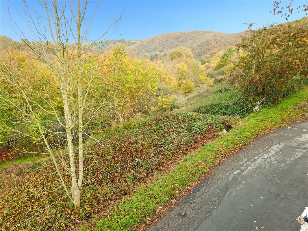 Terrain de 1 ha 68 sur les hauteurs de Marcourt