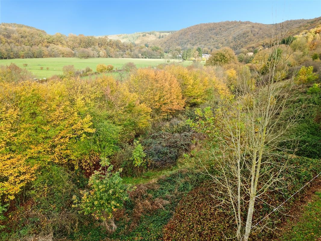 Terrain de 1 ha 68 sur les hauteurs de Marcourt