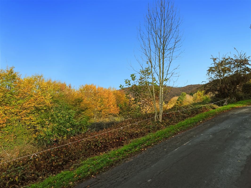 Terrain de 1 ha 68 sur les hauteurs de Marcourt