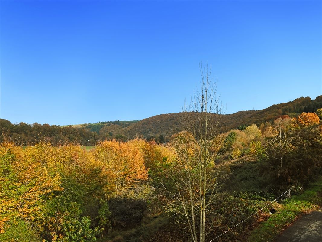 Terrain de 1 ha 68 sur les hauteurs de Marcourt