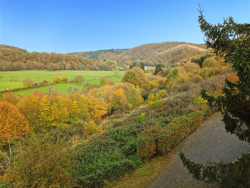 Terrain de 1 ha 68 sur les hauteurs de Marcourt