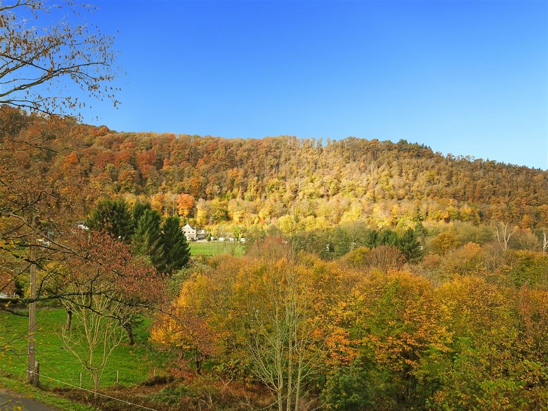 Terrain de 1 ha 68 sur les hauteurs de Marcourt