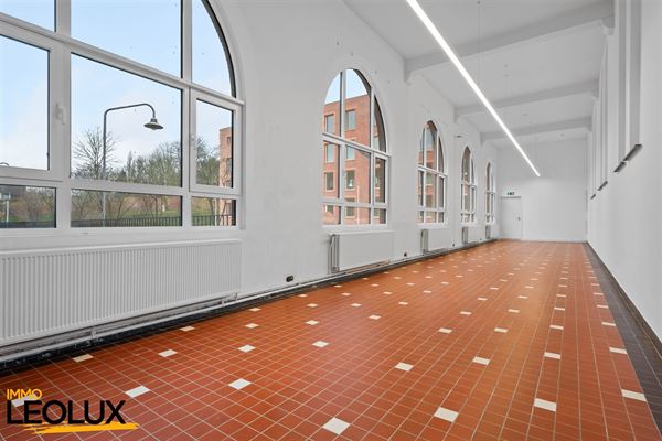 Groot-Bijgaarden