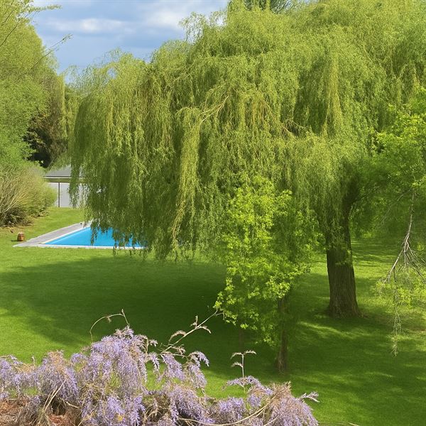 Prestigieus huis met zeldzame charme in uitzonderlijke omgeving