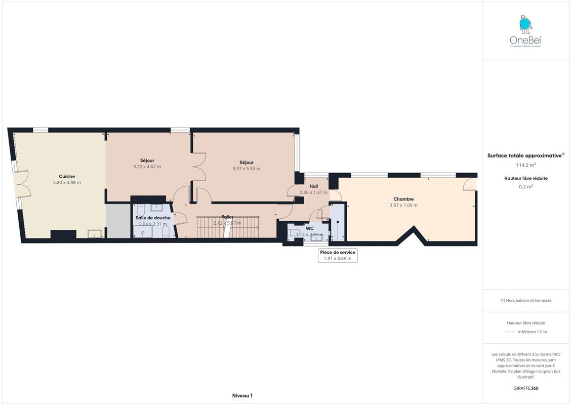 TOISON D'OR - Superbe penthouse duplex avec terrasse