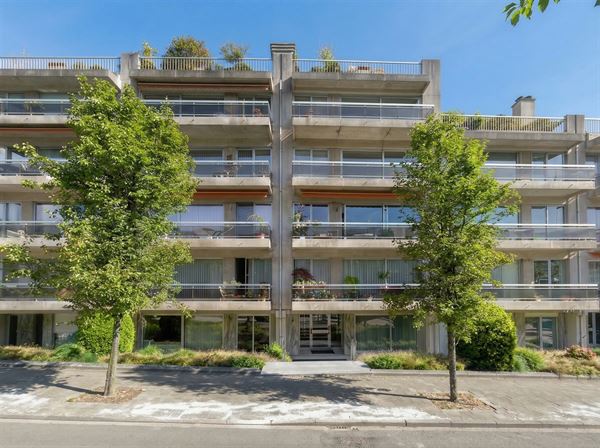 Quartier Mai: Studio avec grande terrasse/jardin