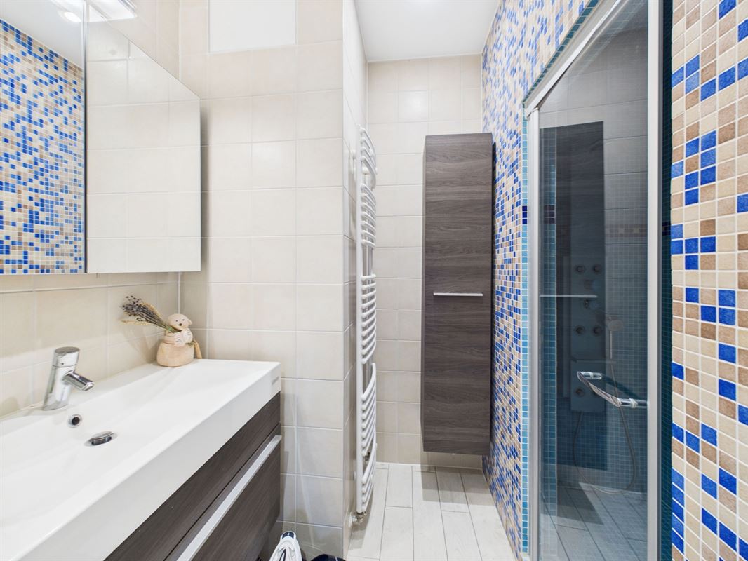 Magnificent apartment with large garden, cellars and parking