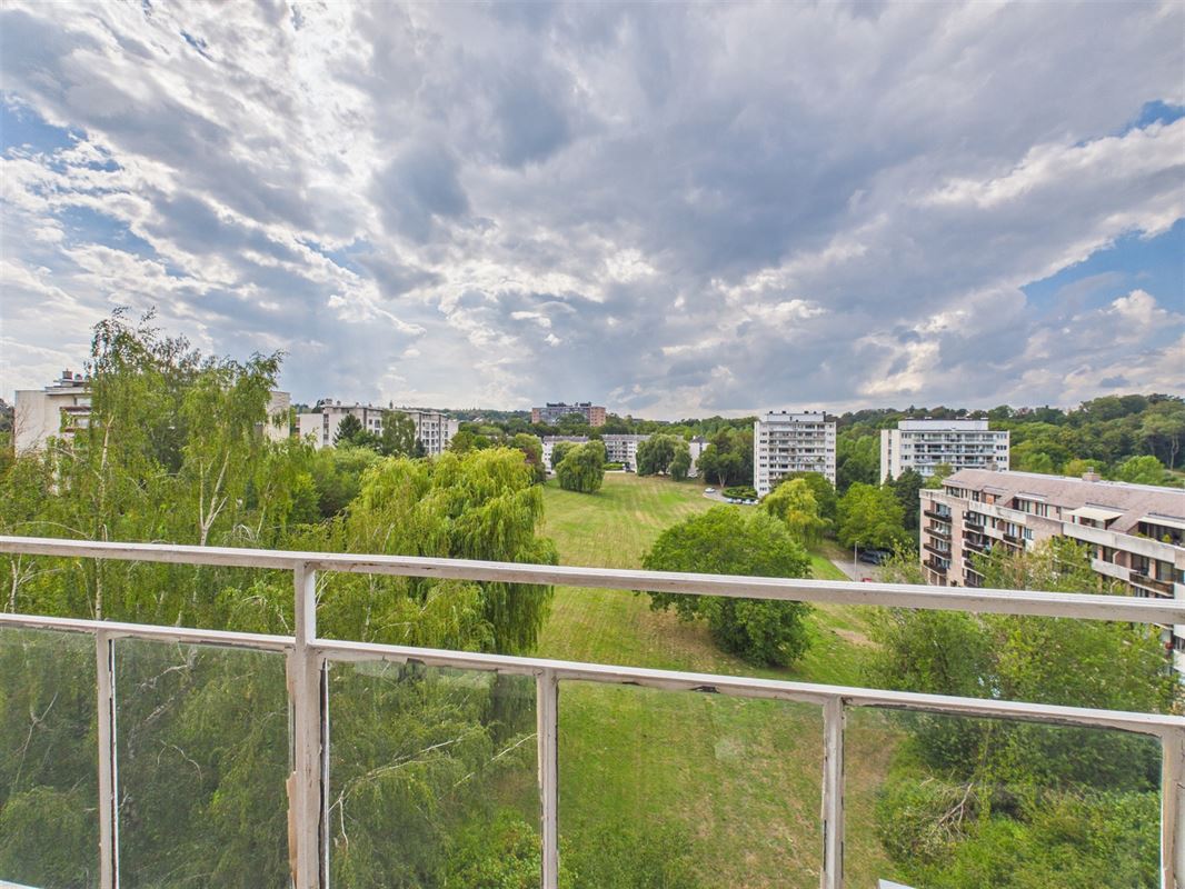 Parc des Saules: bright, sun-filled apartment