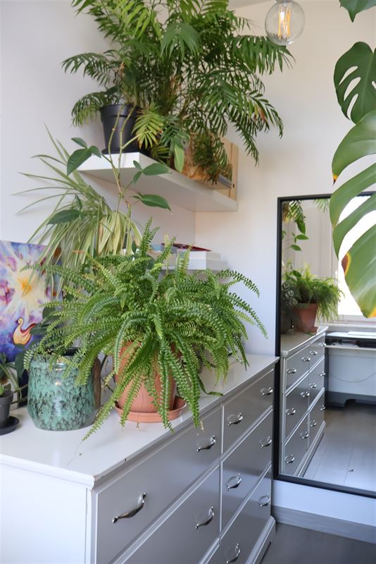 Zuidgericht appartement in kleinschalig gebouw