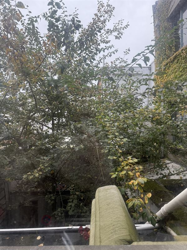 Hoekproject met 4 gekoppelde eigendommen – ideaal voor herontwikkeling