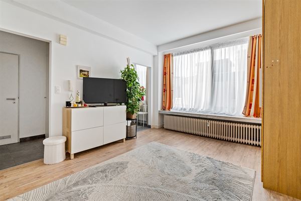 Modern 1-slaapkamerappartement vlak bij het Stadspark