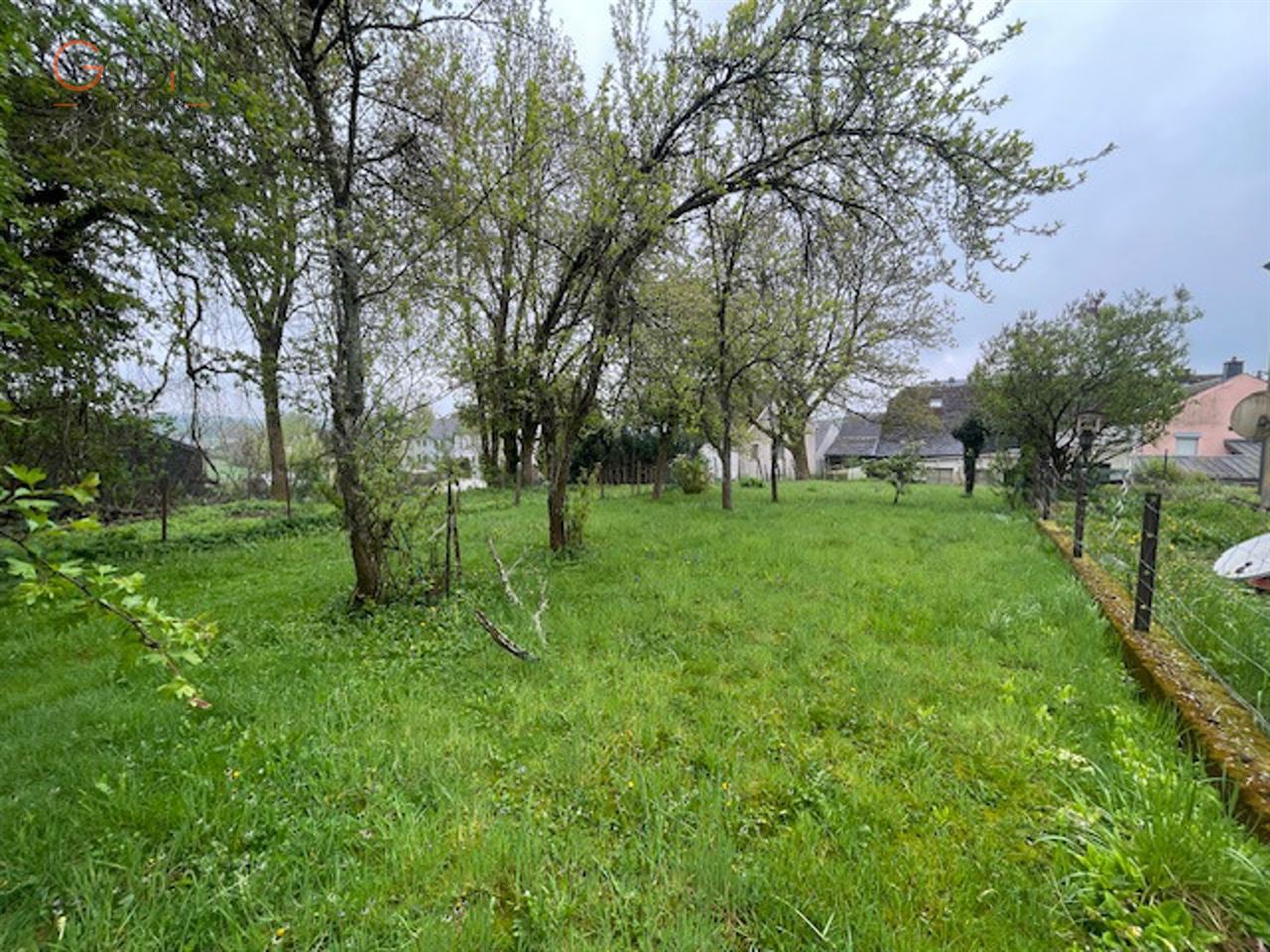 Maison 4 chambres avec jardin