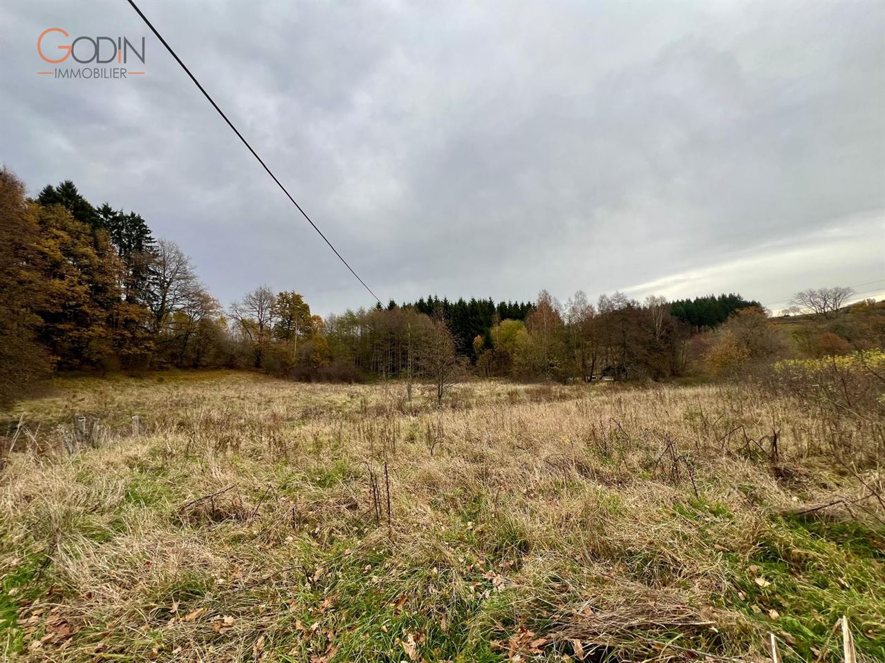 Domaine de 2,5 ha avec étangs, prairies et bois