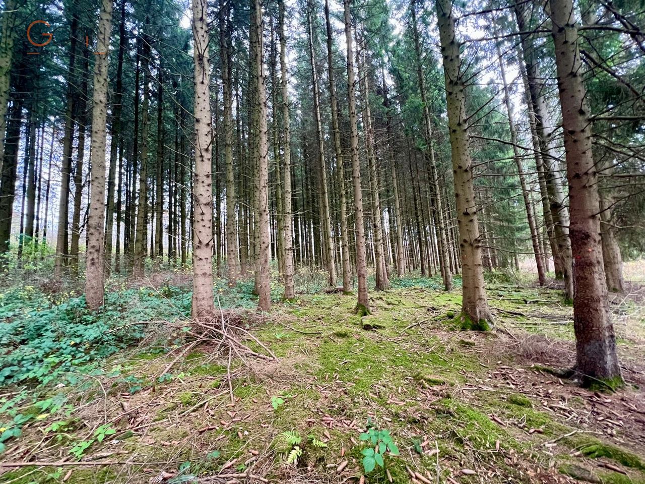 Domaine de 2,5 ha avec étangs, prairies et bois