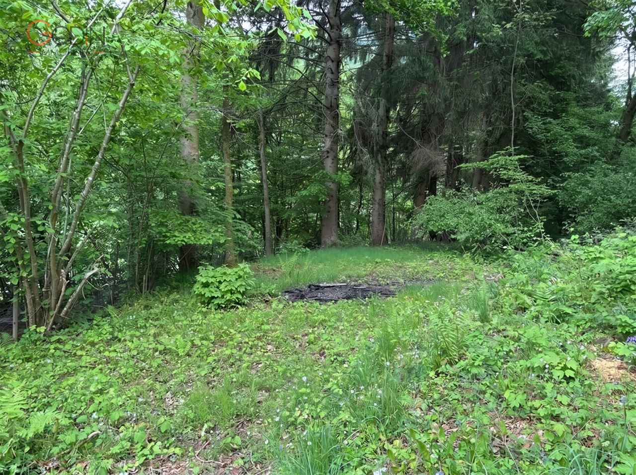 Terrain à bâtir