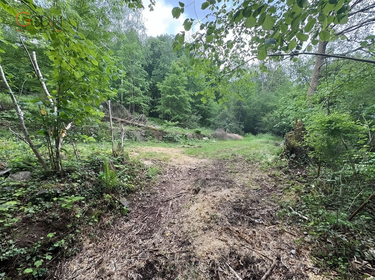 Terrain à bâtir