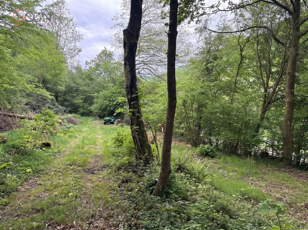 Terrain à bâtir