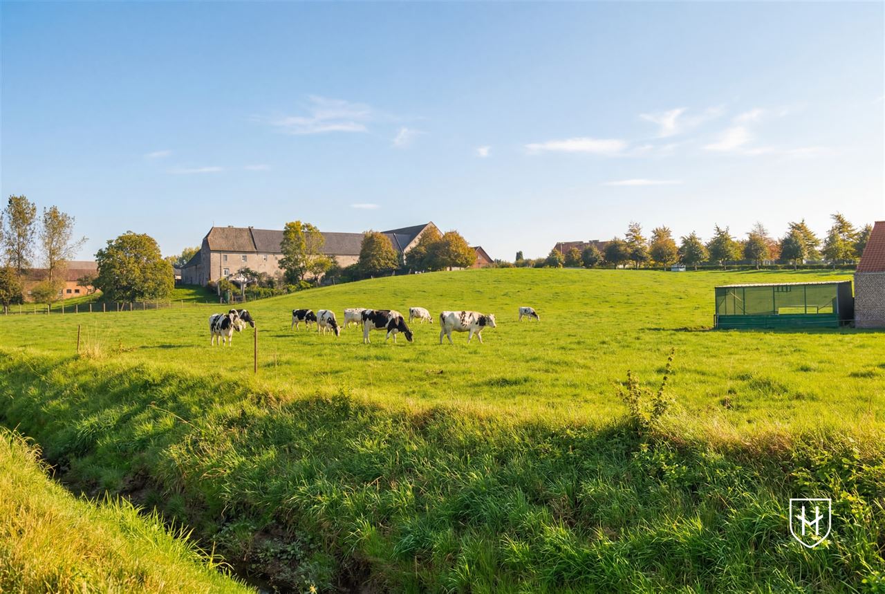 Luxueuze hoeve met schitterende binnenplaats, riante bijgebouwen en zwemvijver op een idyllische, natuurrijke locatie te Tongeren