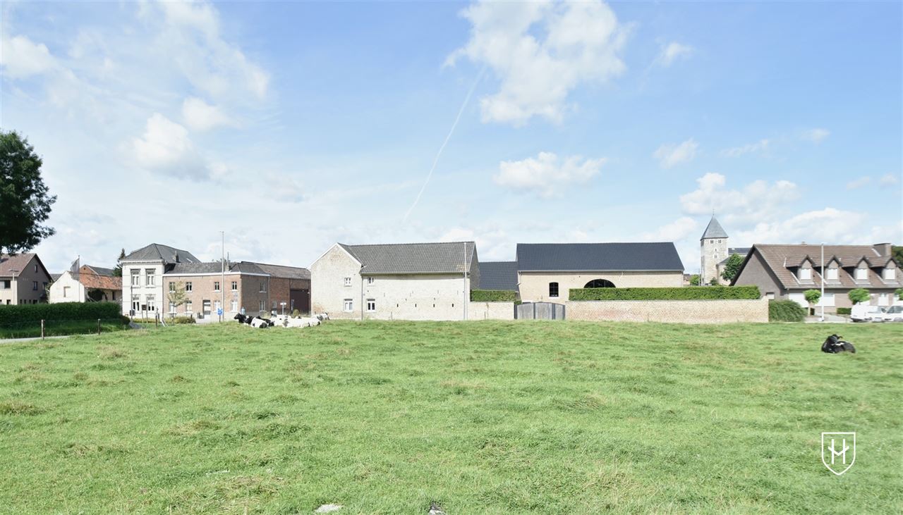 Luxueuze hoeve met schitterende binnenplaats, riante bijgebouwen en zwemvijver op een idyllische, natuurrijke locatie te Tongeren