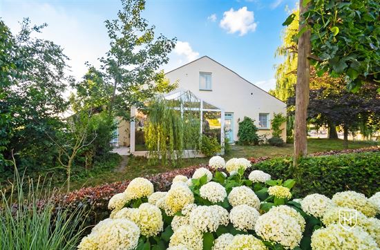Moderne woning met tuinkamer op een zeer riant perceel te Bilzen