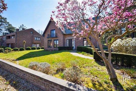 Gemoderniseerde gezinswoning op een riant perceel te Maasmechelen