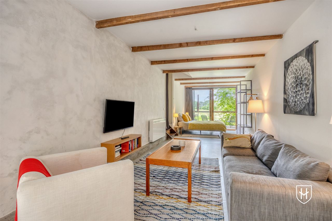 Historic mansion with guest house on a privileged location in an idyllic and natural setting in Visé