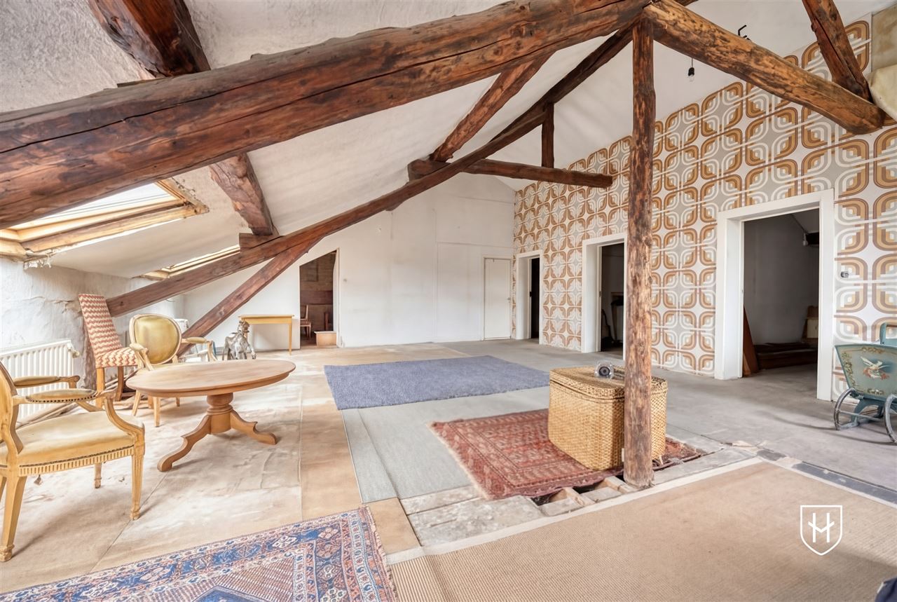 Historic mansion with guest house on a privileged location in an idyllic and natural setting in Visé